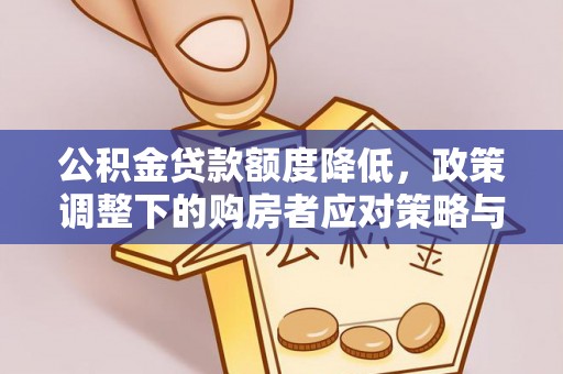 桦川公积金贷款额度降低，政策调整下的购房者应对策略与未来趋势